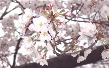 何外で歩いとんねん。(というツッコミ 何外で歩いとんねん。(というツッコミ