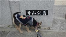 寺山公園拡張工事3月31日と小屋・・・ 寺山公園拡張工事3月31日と小屋・・・