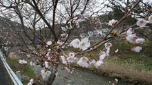 ４月１日