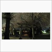 新型コロナのせいで？おかげで？