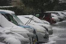 終雪 終雪