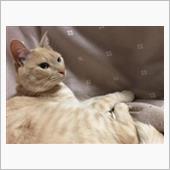 今日は風が強いです