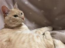 今日は風が強いです