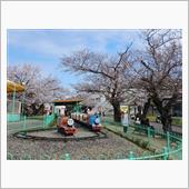 本当にさようなら　みさき公園