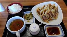 今日は餃子の気分・・・ 今日は餃子の気分・・・
