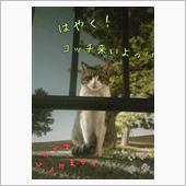 猫じゃないんです｡｡