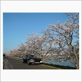 今朝の桜とRF(^_-)-☆