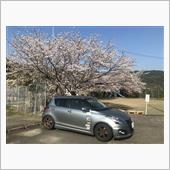 近所の公園の桜も満開かな