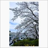 天気は晴れてるのに、気が晴れ ...