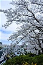 天気は晴れてるのに、気が晴れませんね(*&#180;Д｀)