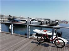 運動のため、自転車散歩