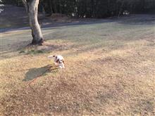 朝の公園 朝の公園