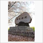 いつもと違う熊谷桜堤