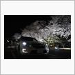 CO7と桜 2020（夜桜＆昼桜）