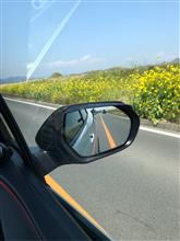 春なんだけど