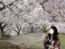 妻との旅行中止(;_;)/~~~　地元の里山で静かにお花見