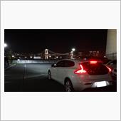 3/13　霞ケ浦公園　3/2 ...