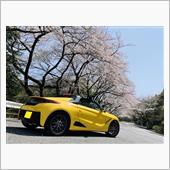 今週もクルマからお花見