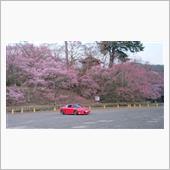 高遠城趾公園にて