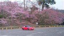 高遠城趾公園にて 