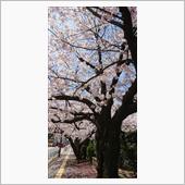 帰路に