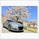 桜と胡蝶