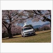 桜と愛車撮影