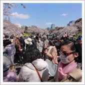 昨年の花見が凄かった