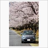 今日も3蜜を避けながらドライブ