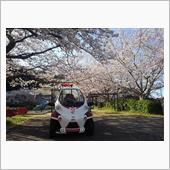 春なのに…2020