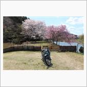 スーパーカブＣ１００