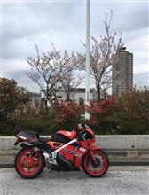 イエローバルブ
