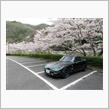 2020 桜・カプチーノ&amp;ワゴンR