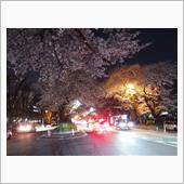 桜の話