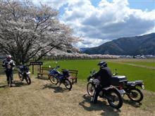 小浜グルメお花見ツーリング