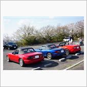 ロードスターのお尻