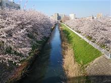 何だか心が萎えますねぇ。。。