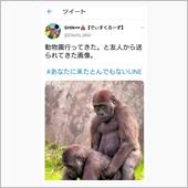 笑ったら負け