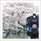 花咲く大井川鉄道