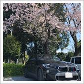 さくら2020🌸 〜 ひと ...
