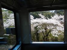 通勤電車でお花見・里山の山焼きほか
