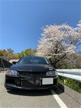 大変な時ですが、桜は今年も綺麗でした