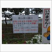 こうなるんだな。