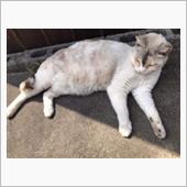 こんにちは😃