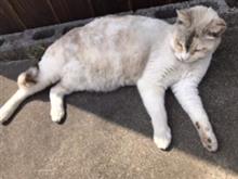 こんにちは😃