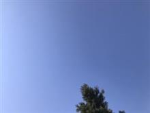 お天気は快晴ですけれど