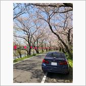 お天気なのにお出掛け出来ず