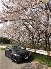 プラグが真っ白に燃え尽きてた