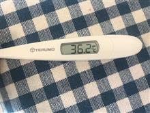 在宅勤務が始まりました