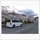城山界隈～雲上殿へ 桜を観に